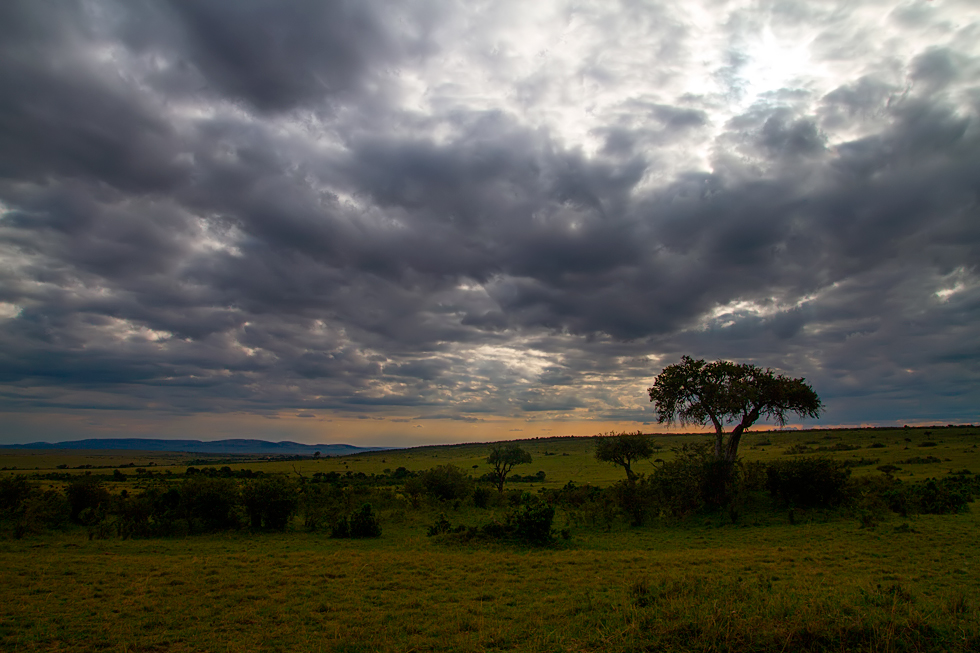 Un ocaso en el P.N. de Masai Mara